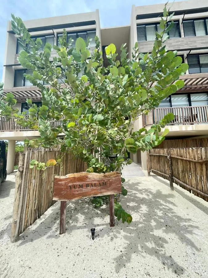 Incredible Ocean View Penthouse With Private Pool By Baleine Group Apartment Isla Holbox Mexico